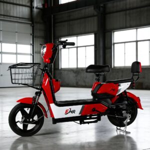 Moto Electrica ENR